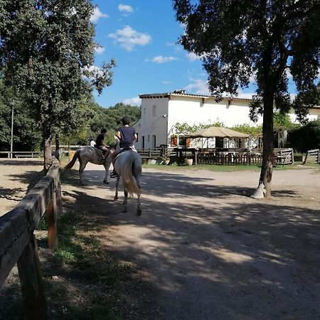 Casa Rural, Can Cirera Seriñá Екстериор снимка