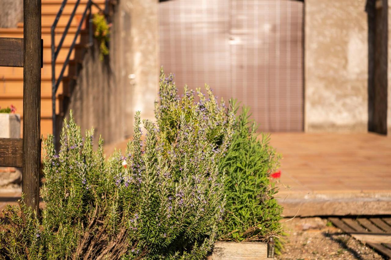 Casa Rural, Can Cirera Seriñá Екстериор снимка